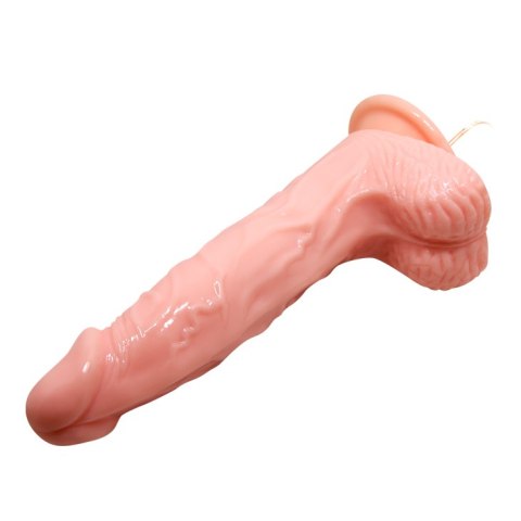 BAILE - SUPER VIBRO DONG BAILE - SUPER VIBRO DONG