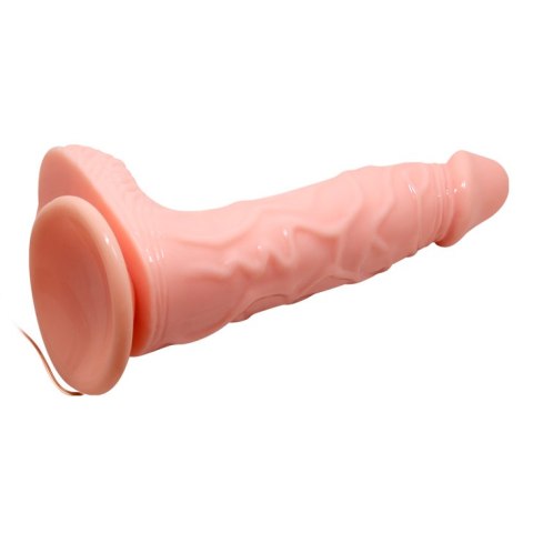 BAILE - SUPER VIBRO DONG BAILE - SUPER VIBRO DONG