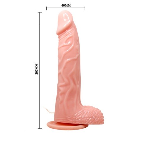 BAILE - SUPER VIBRO DONG BAILE - SUPER VIBRO DONG