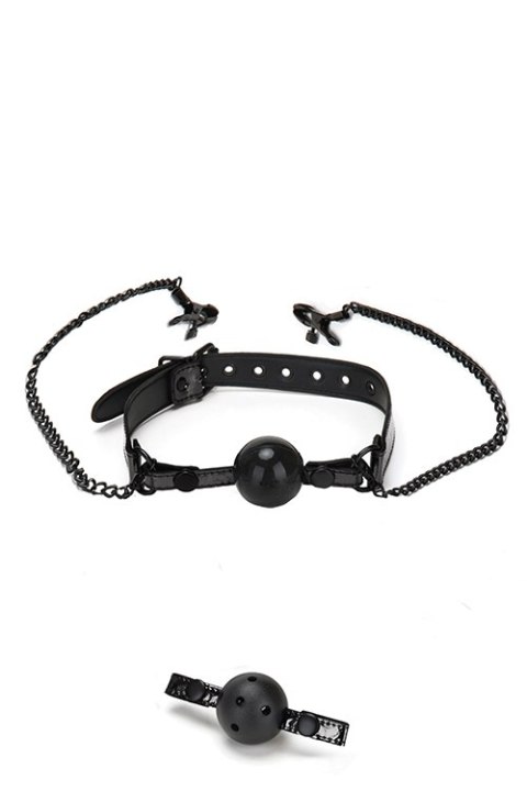 WHIPSMART DIAMOND BALL GAG W NIPPLE CLIP WHIPSMART DIAMOND BALL GAG W NIPPLE CLIP