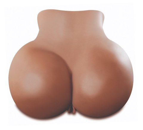 PET Fuck My Big Ass PET Fuck My Big Ass