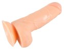 European Lover 18cm with balls