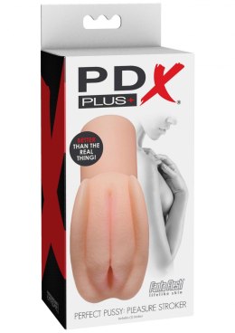 Perfect Pussy Pleasure Stroker