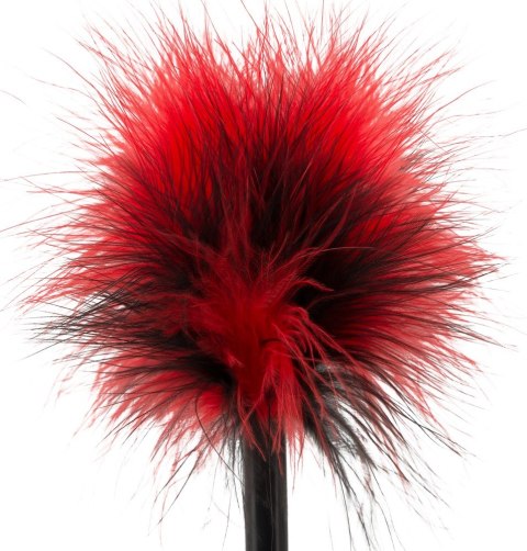 Red Mini Feather Red Mini Feather