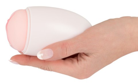 Pocket Pussy mini Pocket Pussy mini
