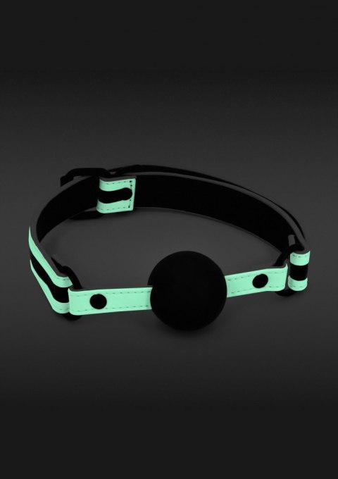 Glo Ball Gag Glo Ball Gag