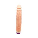BAILE- Multispeed Flexible Vibrator