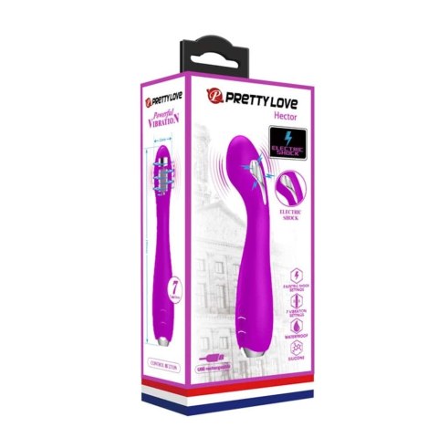 Pretty Love Hector Purple Pretty Love Hector Purple