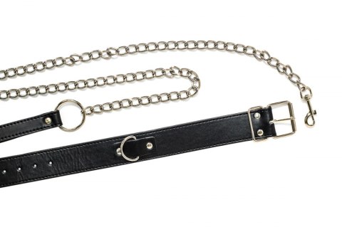 The Collar Party Hard Wild The Collar Party Hard Wild