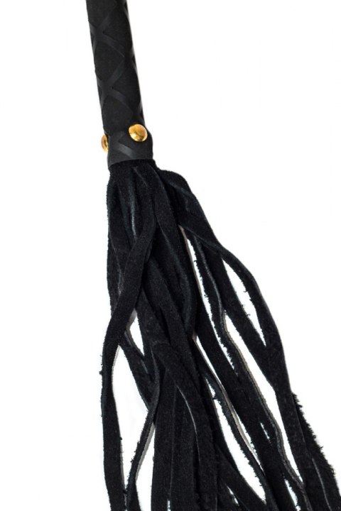 WHIP PARTY HARD ATTRACTION WHIP PARTY HARD ATTRACTION