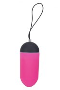 ALL TIME FAVORITES 10F REMOTE EGG DISPLY