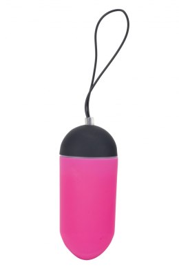 ALL TIME FAVORITES 10F REMOTE EGG DISPLY