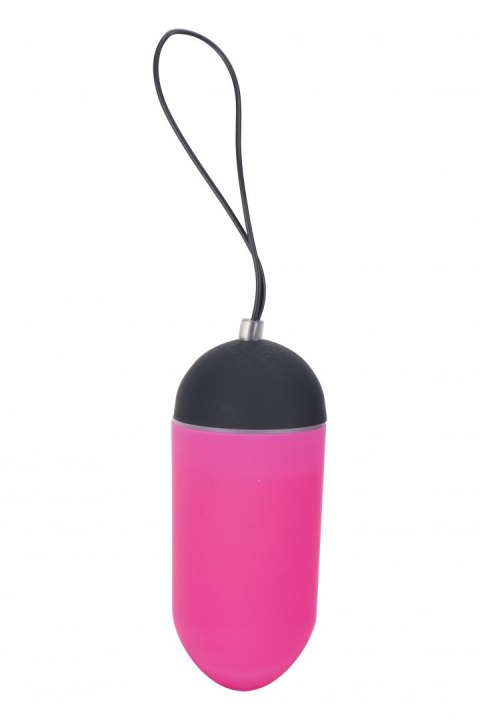 ALL TIME FAVORITES 10F REMOTE EGG DISPLY ALL TIME FAVORITES 10F REMOTE EGG DISPLY
