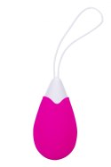 ALL TIME FAVORITES 10F REMOTE EGG