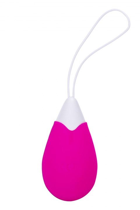 ALL TIME FAVORITES 10F REMOTE EGG ALL TIME FAVORITES 10F REMOTE EGG