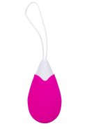ALL TIME FAVORITES 10F REMOTE EGG