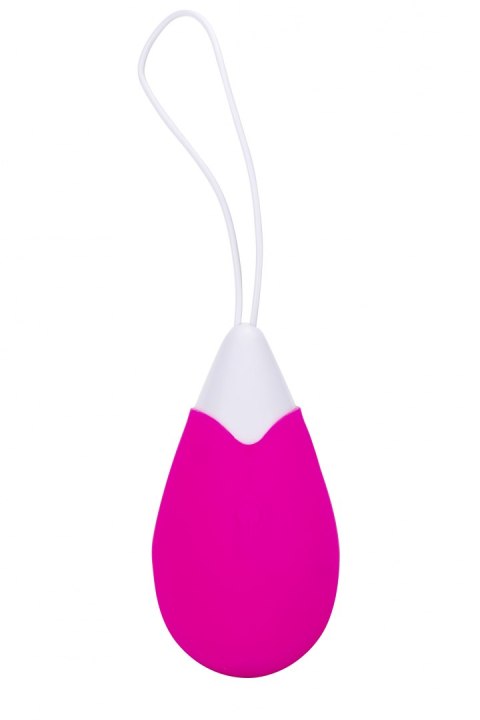 ALL TIME FAVORITES 10F REMOTE EGG ALL TIME FAVORITES 10F REMOTE EGG