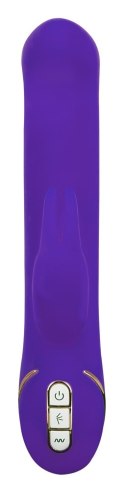 PP PICK NICK purple