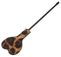 Paddle Leo