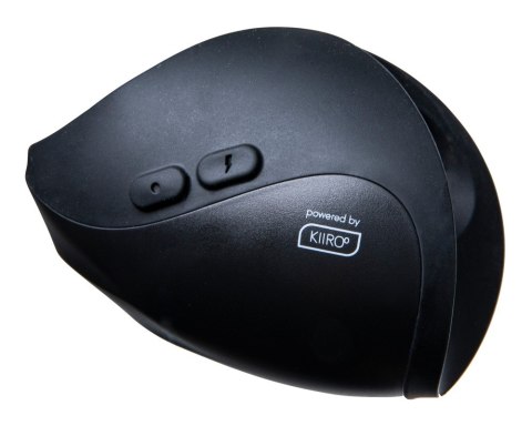 Pulse Solo Interactive Pulse Solo Interactive