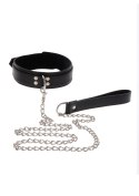 ELEGANT COLLAR AND CHAIN LEASH