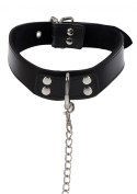 ELEGANT COLLAR AND CHAIN LEASH