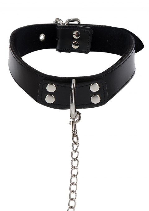 ELEGANT COLLAR AND CHAIN LEASH ELEGANT COLLAR AND CHAIN LEASH