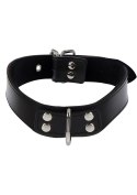 Elegant D-Ring Collar