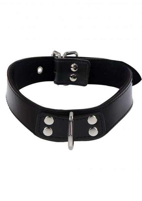 Elegant D-Ring Collar Elegant D-Ring Collar