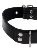 Elegant D-Ring Collar