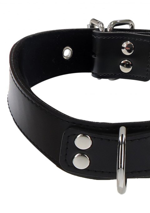 Elegant D-Ring Collar Elegant D-Ring Collar