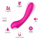 LEGEND PINK
