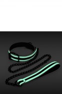 GLO BONDAGE COLLAR AND LEASH GREEN