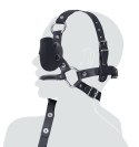 Leather Head Harness + Bit