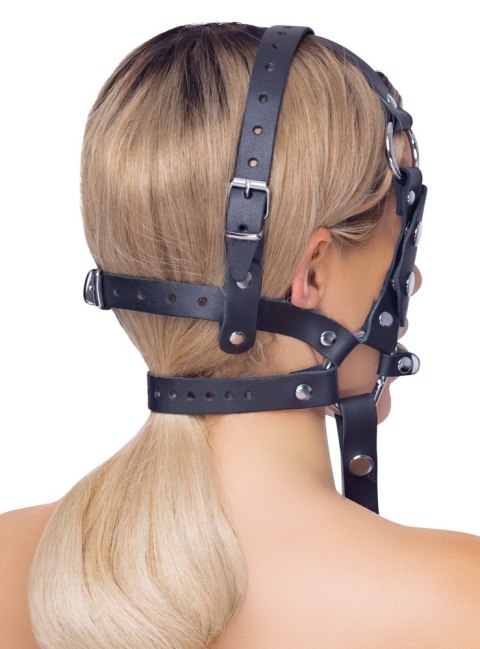Leather Head Harness + Bit Leather Head Harness + Bit