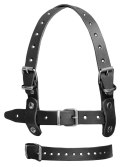 Leather Head Harness + Bit