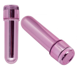 Mini Vibratore Timeless Pocket Treasure (rosa)