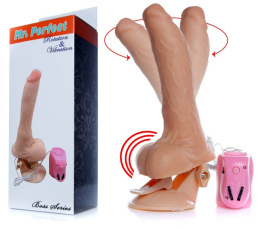 WIBRATOR-MR. PERFECT ROTATION & VIBRATION
