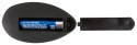 ANOS Inflatable Plug