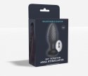 Retating anal plug