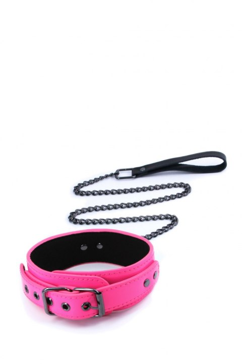 ELECTRA COLLAR & LEASH PINK ELECTRA COLLAR & LEASH PINK
