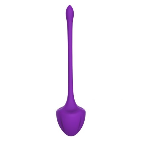 VIRGO PURPLE VIRGO PURPLE