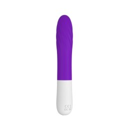 WIBRATOR-S-Y208 PURPLE