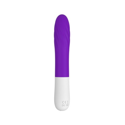 WIBRATOR-S-Y208 PURPLE WIBRATOR-S-Y208 PURPLE