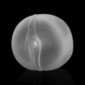 MAXIMIZER WORX VX5 RECHARGEABLE PUMP VAGINA