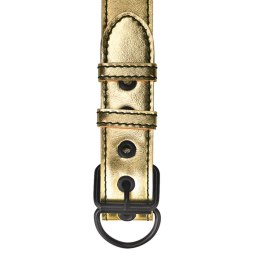 BONDAGE FETISH METALLIC PUP COLLAR WITH LEASH