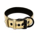 BONDAGE FETISH METALLIC PUP COLLAR WITH LEASH