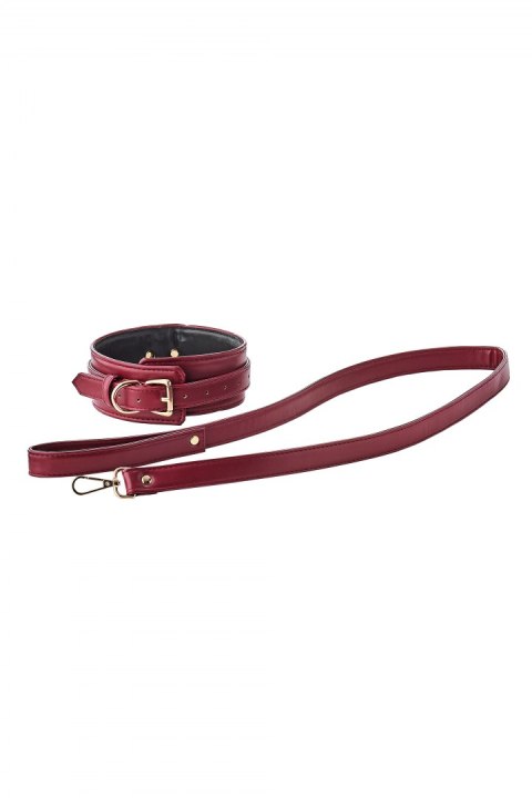 BLAZE ELITE COLLAR AND LEASH RED BLAZE ELITE COLLAR AND LEASH RED