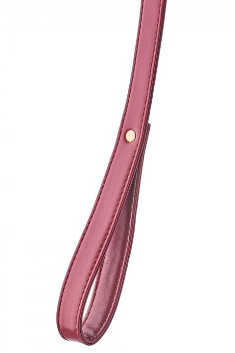 BLAZE ELITE COLLAR AND LEASH RED BLAZE ELITE COLLAR AND LEASH RED