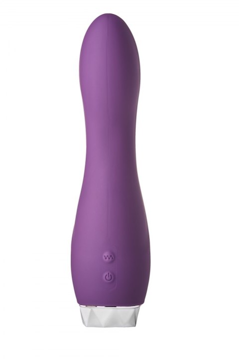 FLIRTS G-SPOT VIBRATOR PURPLE FLIRTS G-SPOT VIBRATOR PURPLE